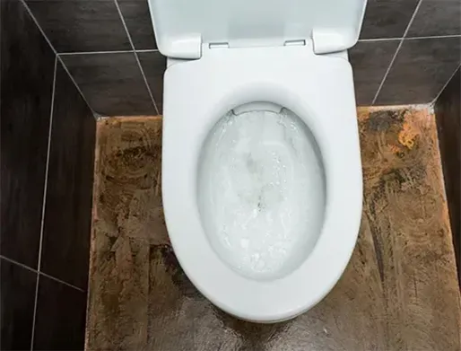 Desentupimento de Vasos Sanitários em Jarinu